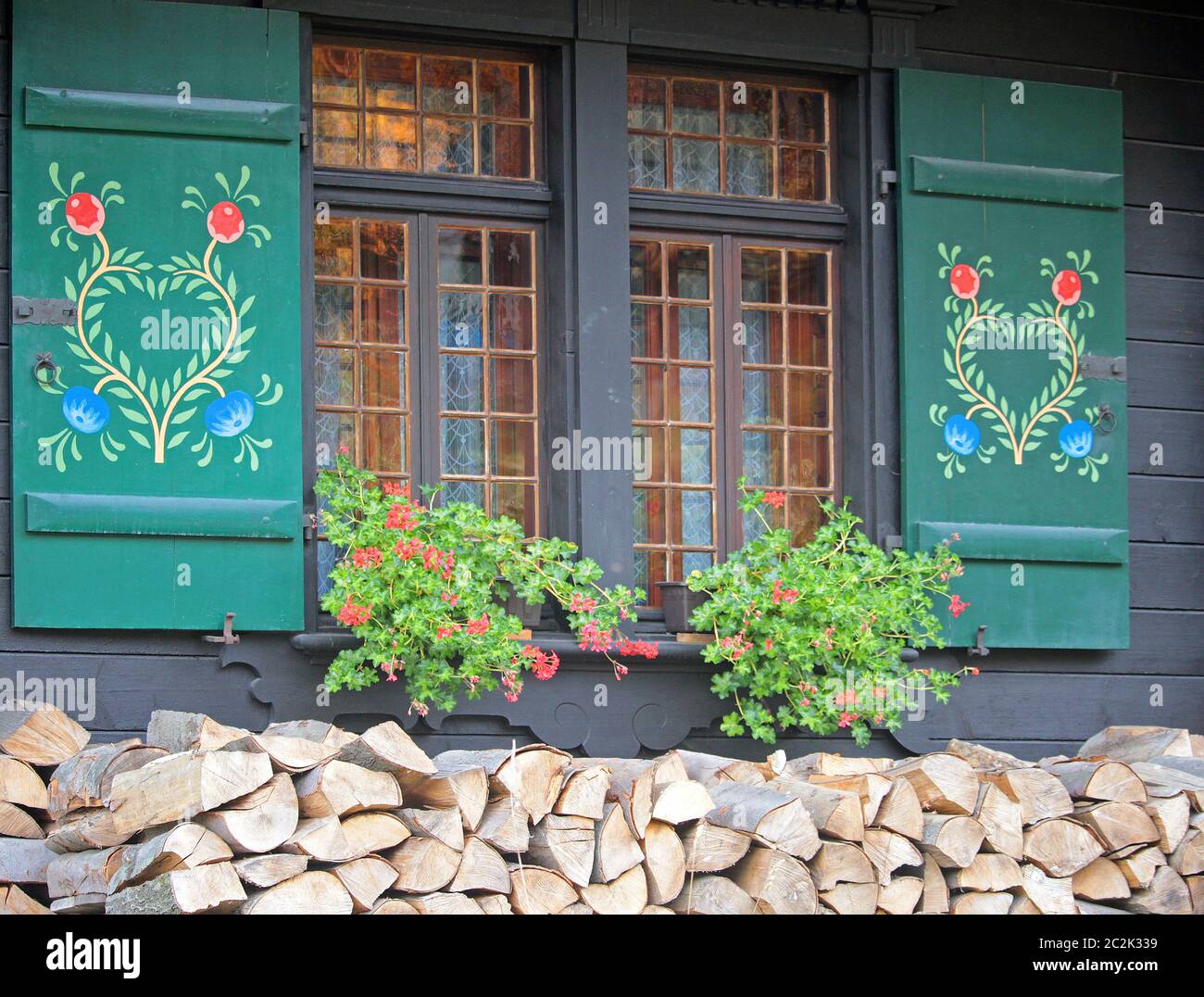 Casa vicino alla zona della palude a Slavkovský les Foto Stock