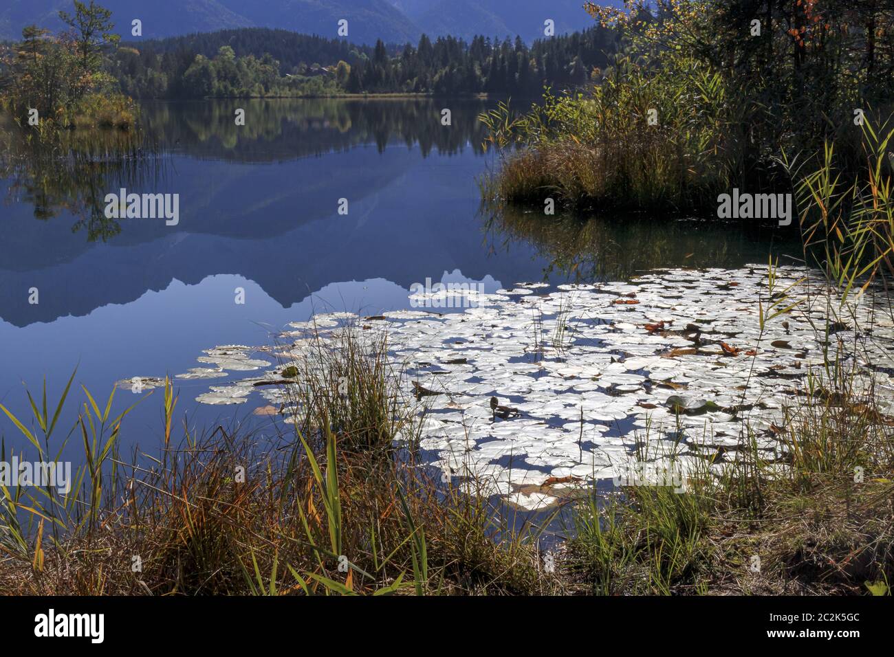 Ora blu al lago, romantico lago in alta Baviera, Germania, settembre Foto Stock