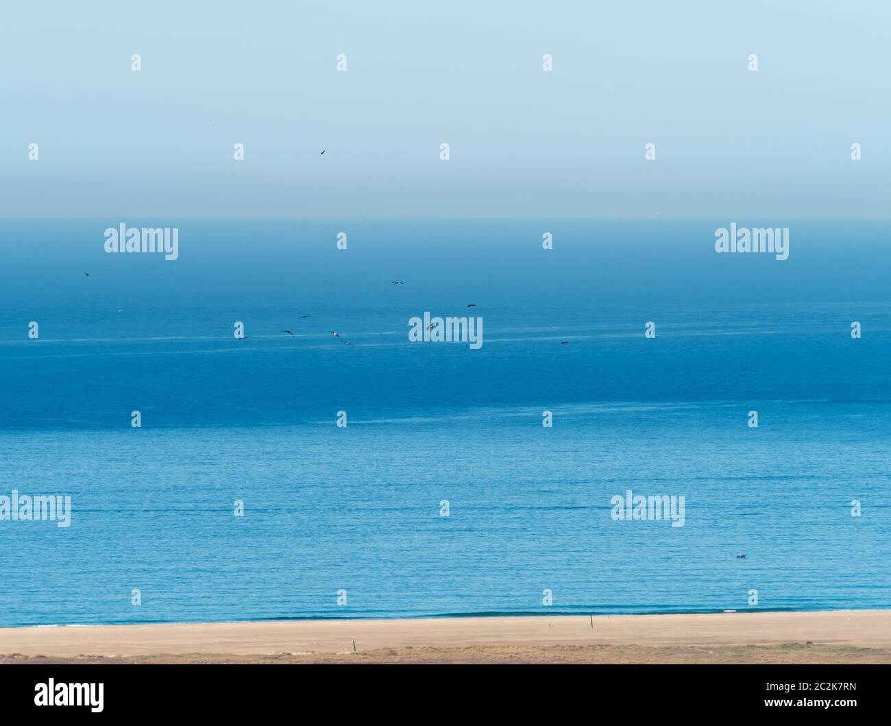 Cicogna Nera in autunno la migrazione attraverso lo Stretto di Gibilterra. Foto Stock