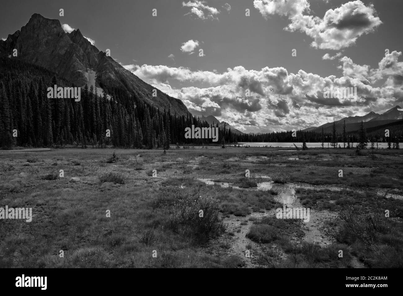 Immagine panoramica del Lago Smeraldo, splendido paesaggio del Parco Nazionale di Yoho, British Columbia, Canada Foto Stock