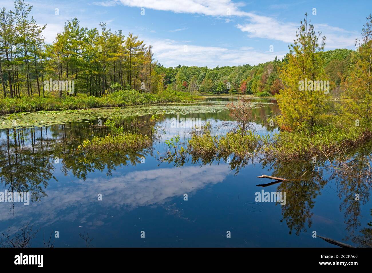 Tranquilla riflessioni su un invaso Lago perduto in Muskegon parco dello Stato del Michigan Foto Stock