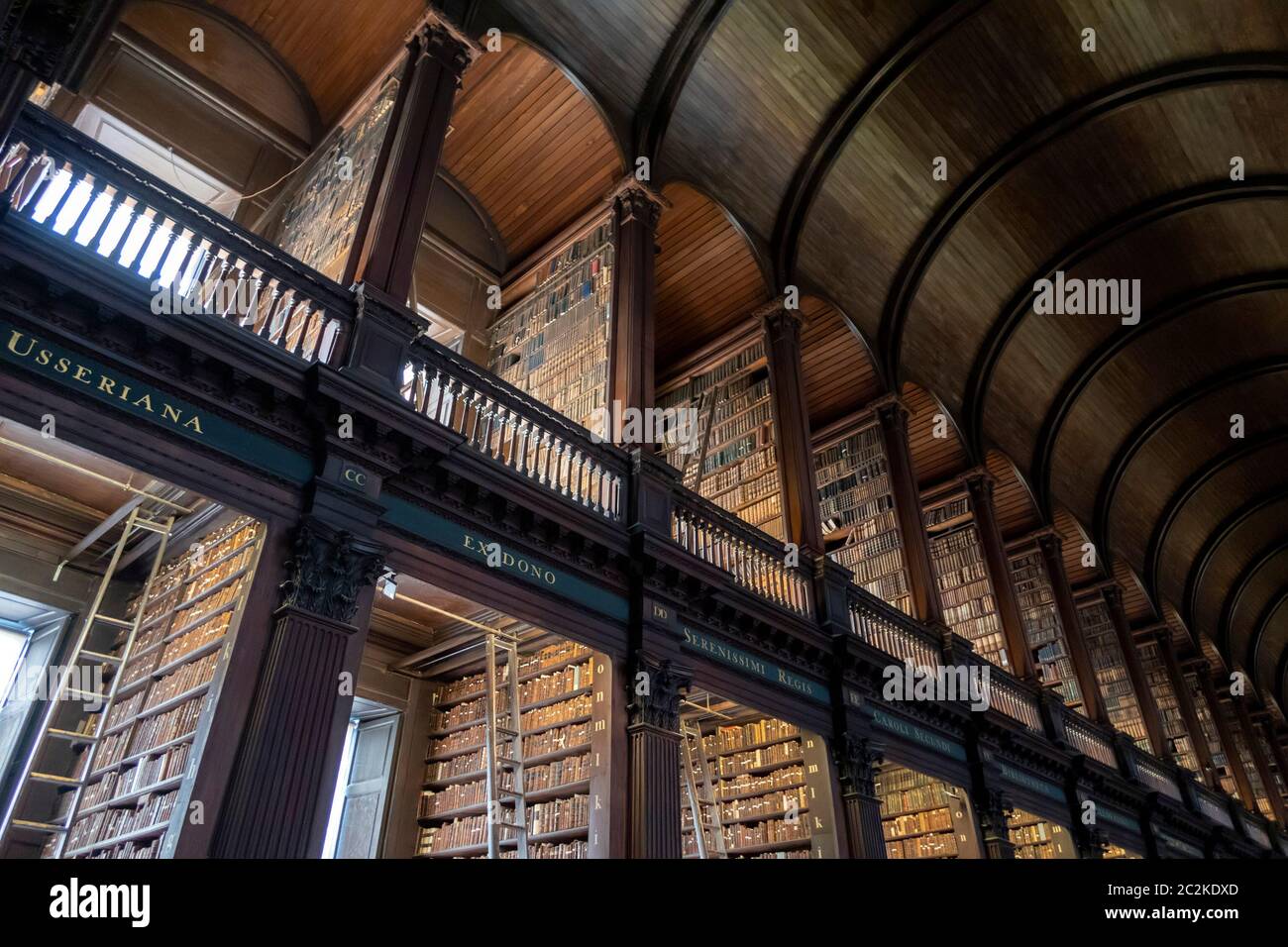 The Long Room presso la Biblioteca del Trinity College di Dublino, Repubblica d'Irlanda, Europa Foto Stock