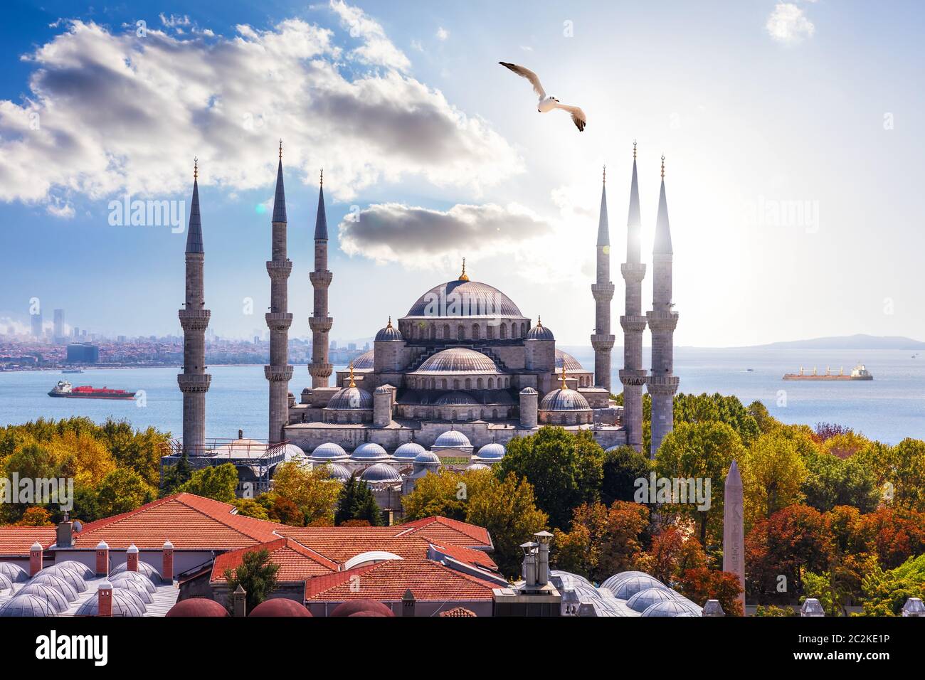 Splendida Sultan Ahmet moschea di Istanbul e il Bosforo sullo sfondo. Foto Stock