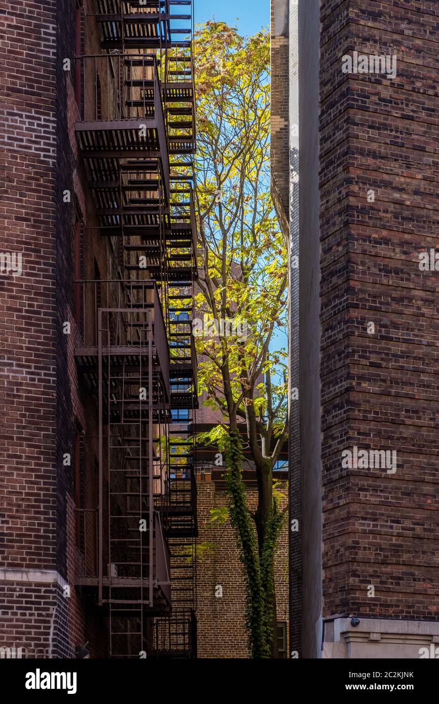 Colore delle foglie autunnali del Greenwich Village a Lower Manhattan Foto Stock