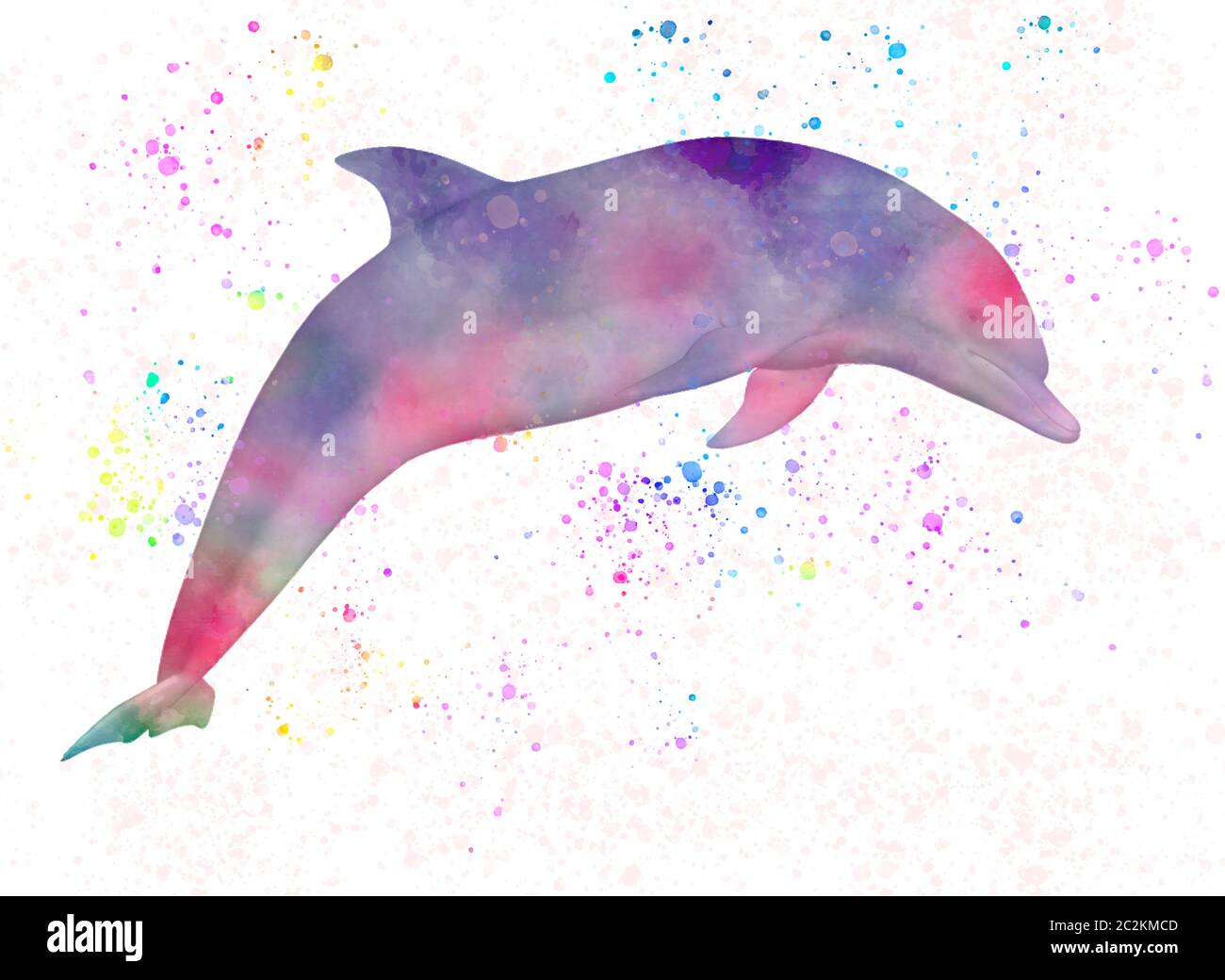 Delfino in acquerello Foto Stock