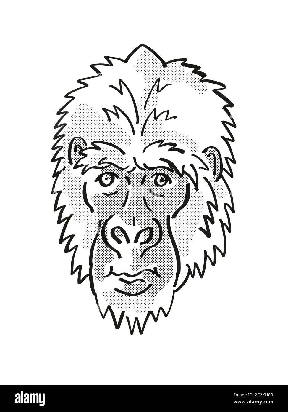 Retrò cartoon mono stile linea disegno della testa di un Gorilla orientale o Gorilla Berengei, una fauna selvatica minacciate di estinzione di specie isolato su sfondo bianco d Foto Stock