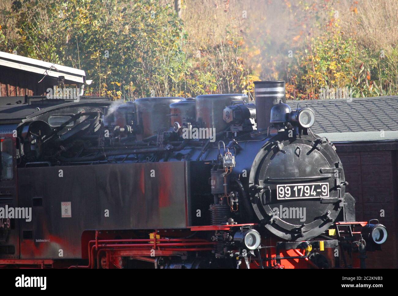 ferrovia a vapore Foto Stock