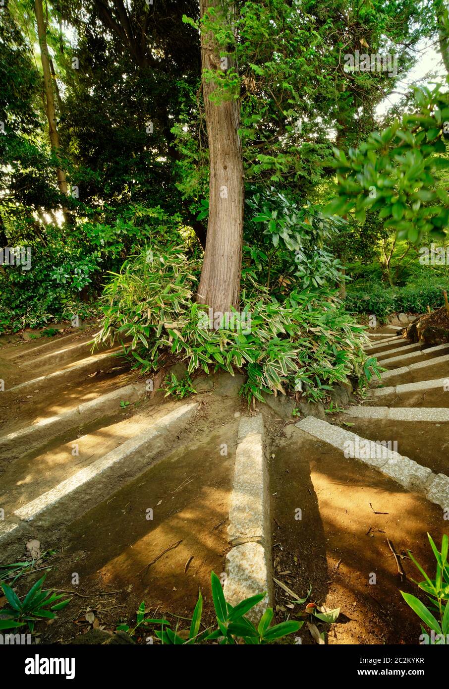 Scala a chiocciola che conduce al belvedere Tsutsuji nel giardino di Rikugien a Tokyo in Giappone. Foto Stock