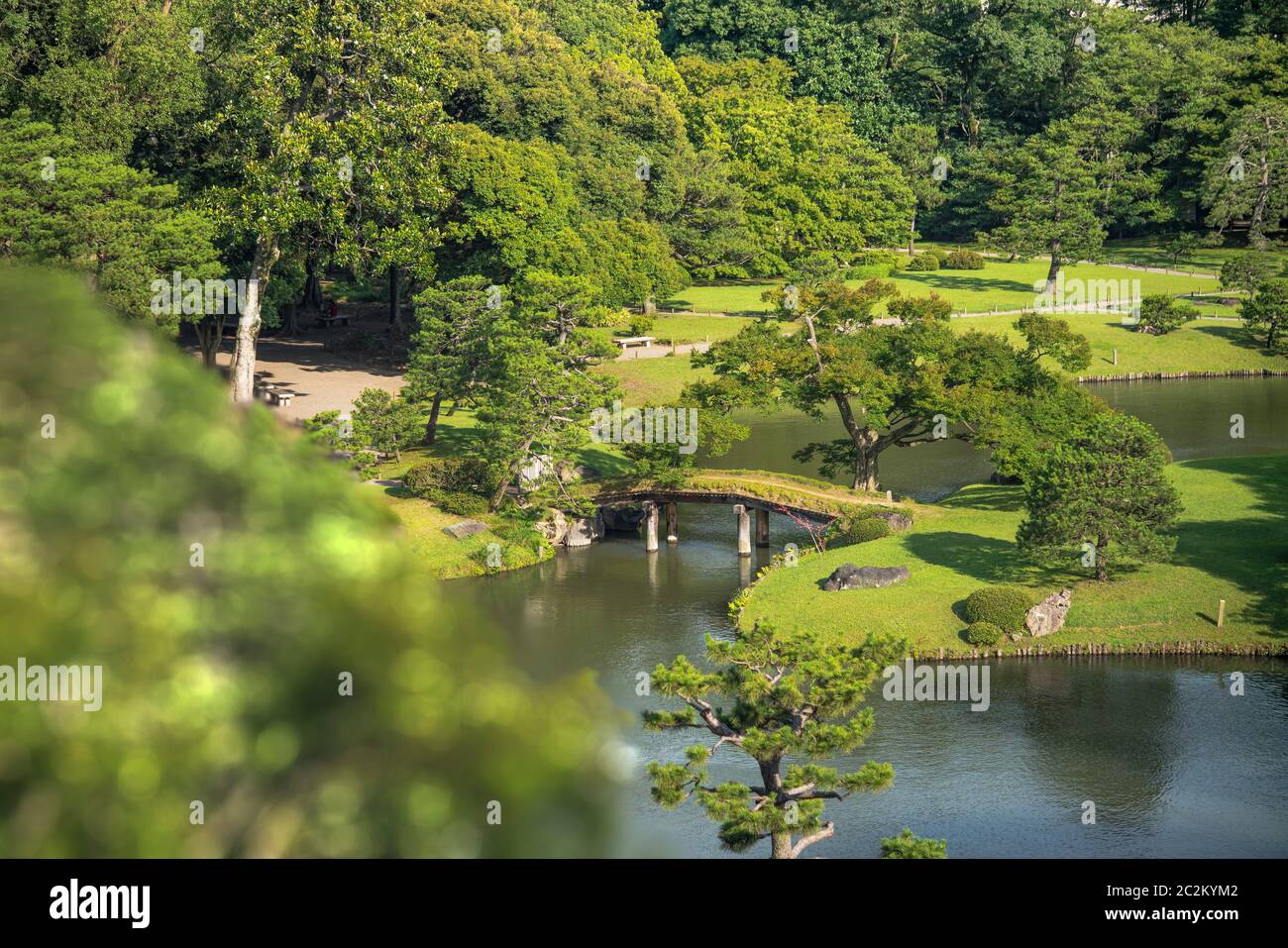 Grandi pini intorno ad un laghetto con un ponte di legno su un isolotto sotto il cielo blu pieno di nuvole nel giardino di Rikugien a Tokyo in Giappone. Foto Stock