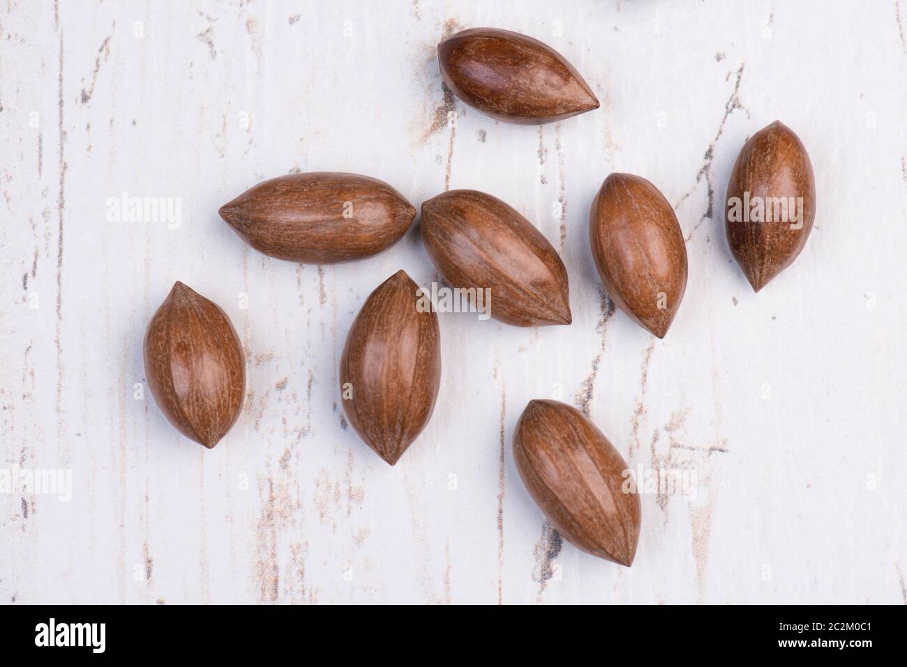 Dadi di Pecan con la nutshell su uno sfondo bianco testurizzato, spazio di copia vuoto Foto Stock