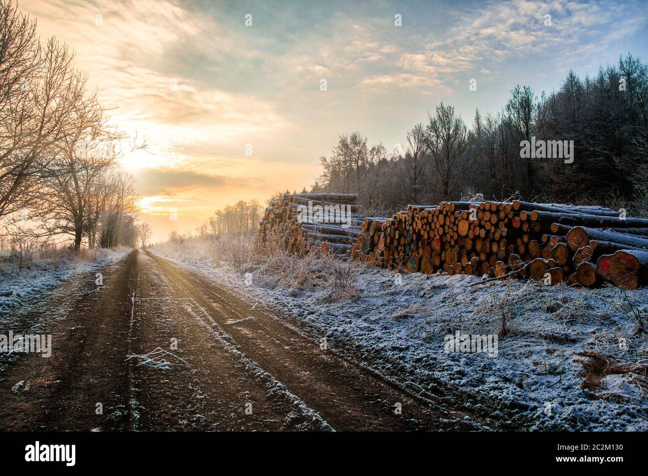 Inverno mattina sorgere sentiero foresta di sole con polder in legno Foto Stock