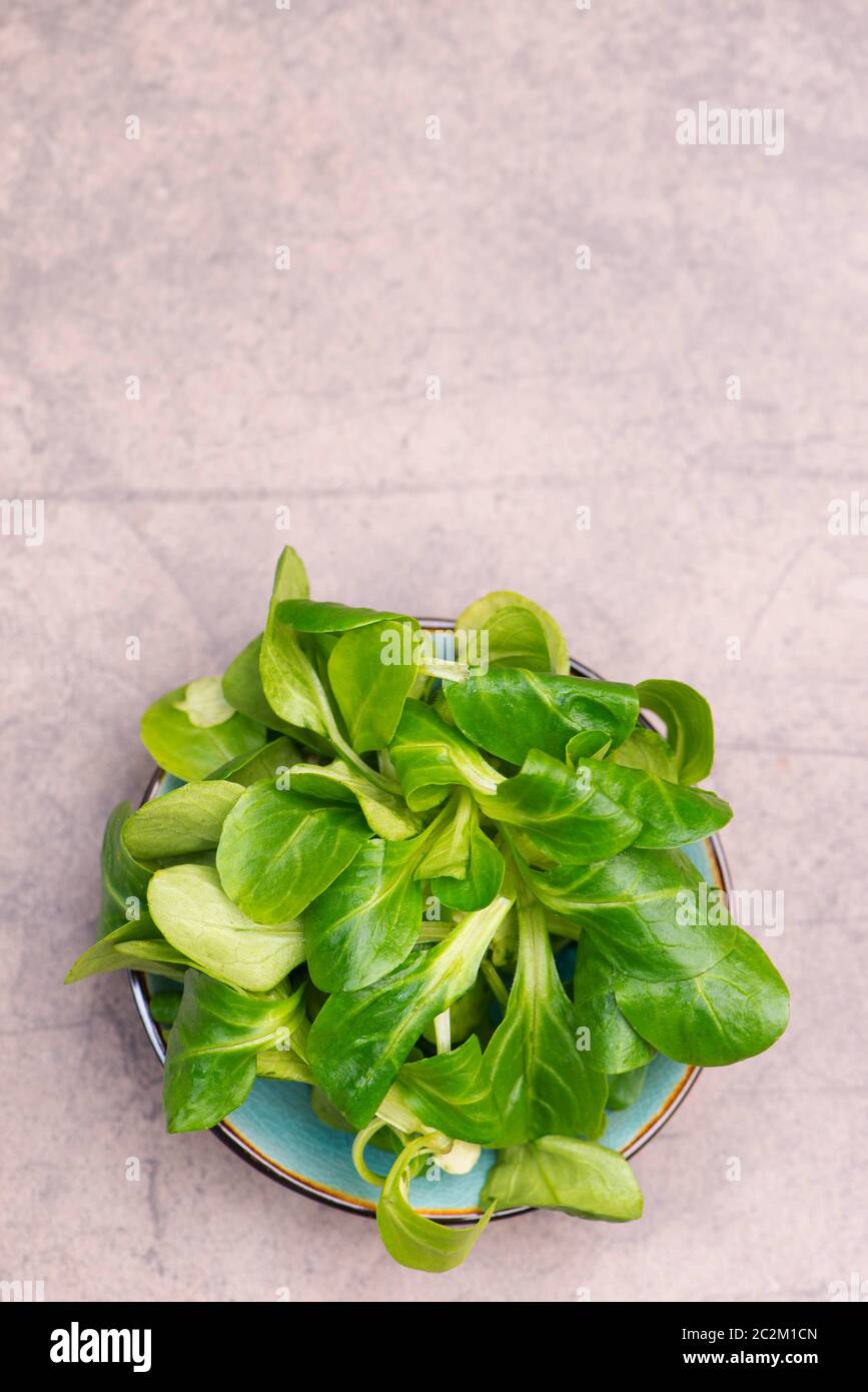 Lambs lattuga su uno sfondo marrone testurizzato, spazio di copia vuoto Foto Stock