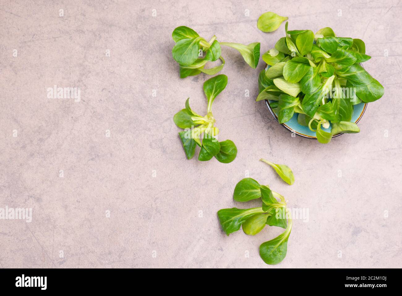 Lambs lattuga su uno sfondo marrone testurizzato, spazio di copia vuoto Foto Stock