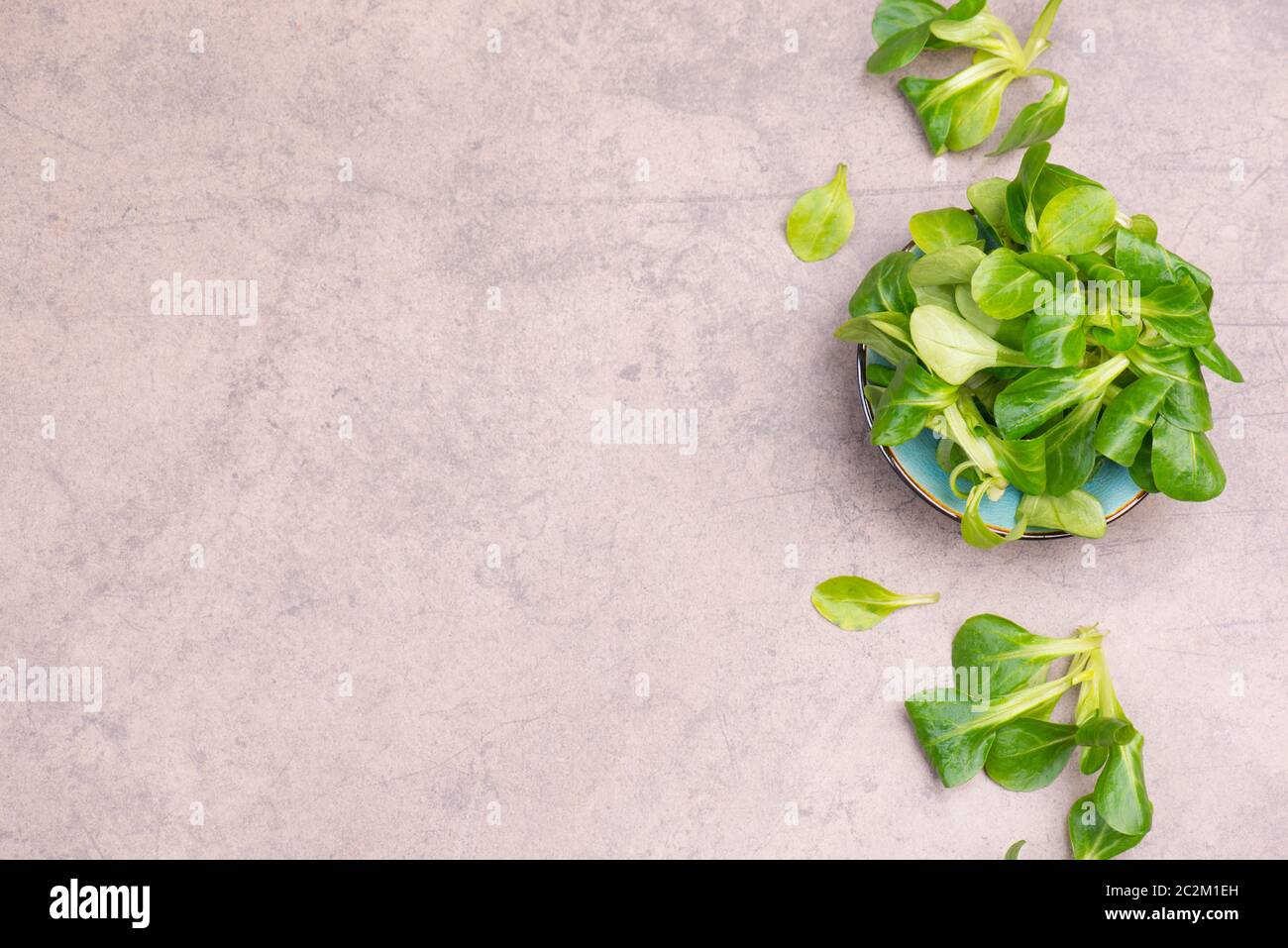 Lambs lattuga su uno sfondo marrone testurizzato, spazio di copia vuoto Foto Stock