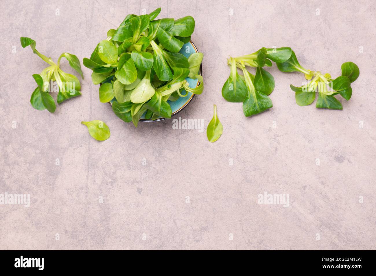 Lambs lattuga su uno sfondo marrone testurizzato, spazio di copia vuoto Foto Stock