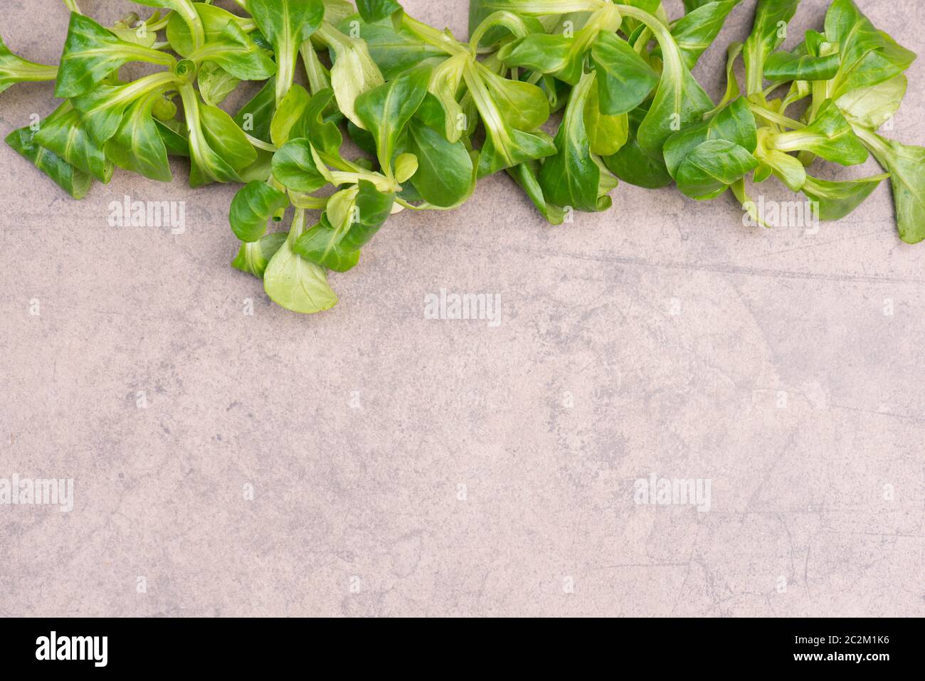Lambs lattuga su uno sfondo marrone testurizzato, spazio di copia vuoto Foto Stock