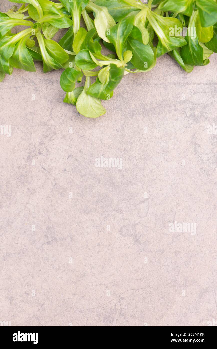 Lambs lattuga su uno sfondo marrone testurizzato, spazio di copia vuoto Foto Stock