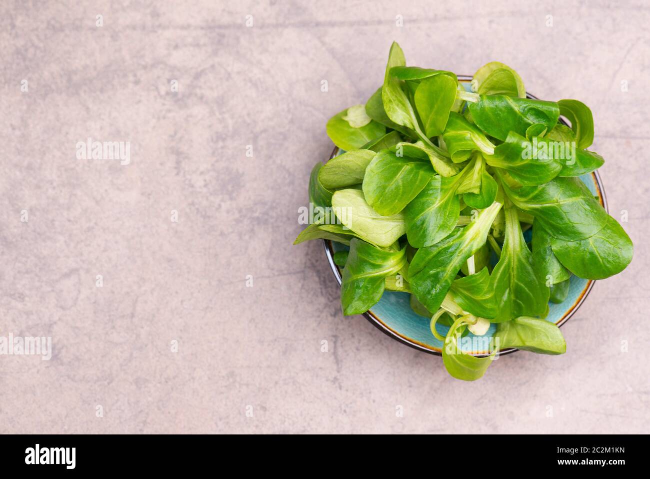 Lambs lattuga su uno sfondo marrone testurizzato, spazio di copia vuoto Foto Stock