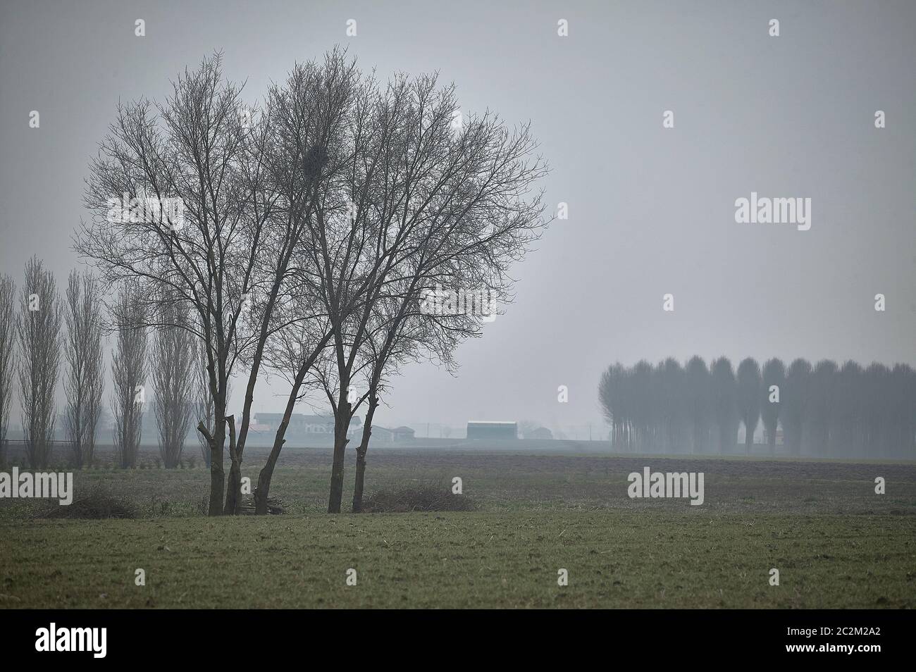 Paesaggio mistico di campagna immerso nella nebbia: tutto diventa misterioso e svanisce verso l'orizzonte. Foto Stock