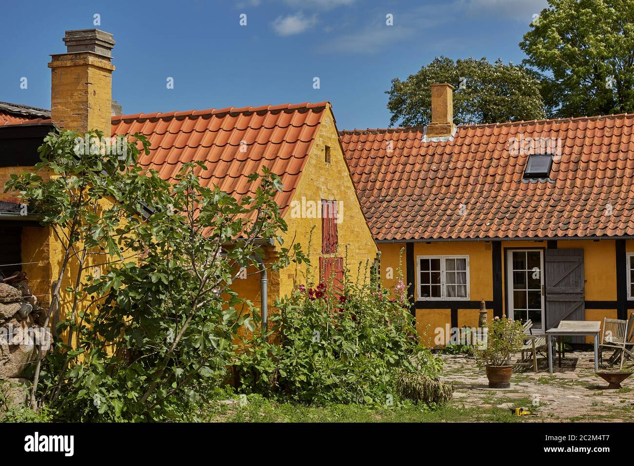 Case tradizionali colorate a graticcio sull'isola di Bornholm, in Svaneke Danimarca Foto Stock