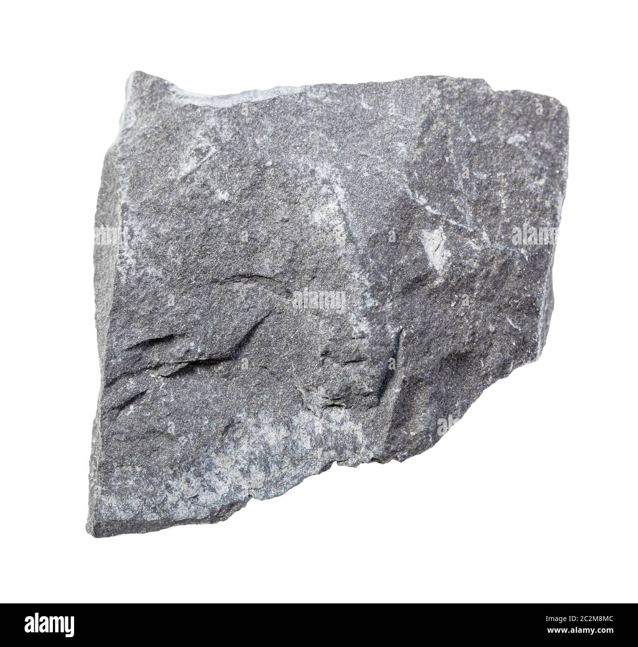 Primo piano di campione di minerale naturale proveniente dalla collezione geologica - pietra argillite grigia non lucida isolata su sfondo bianco Foto Stock