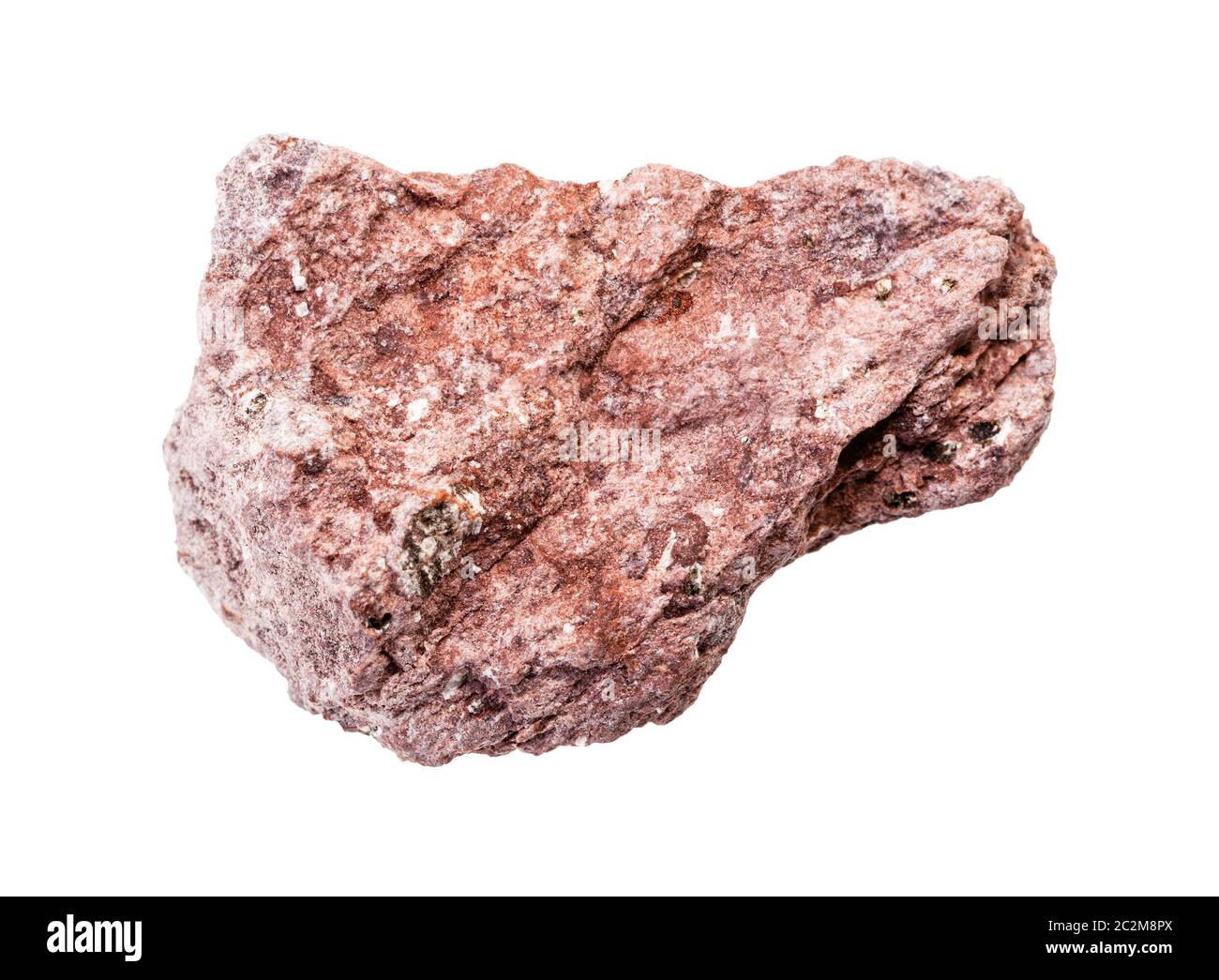 primo piano di campione di minerale naturale proveniente dalla collezione geologica - pietra di tufo di cenere non lucidata isolata su sfondo bianco Foto Stock