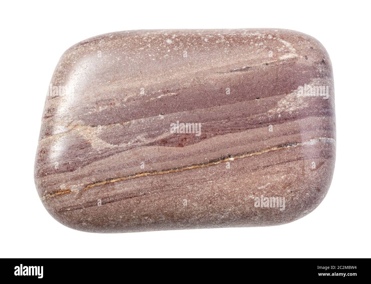 Primo piano di campione di minerale naturale proveniente dalla collezione geologica - roccia argillite lucidata isolata su sfondo bianco Foto Stock