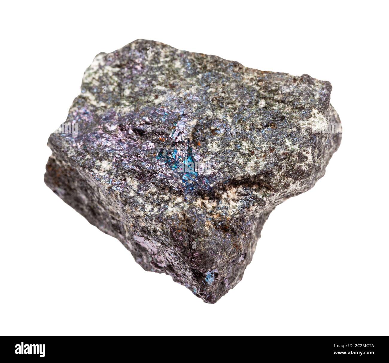 Primo piano di campione di minerale naturale proveniente dalla raccolta geologica - Bornite grezza (minerale di pavone) pietra isolata su sfondo bianco Foto Stock