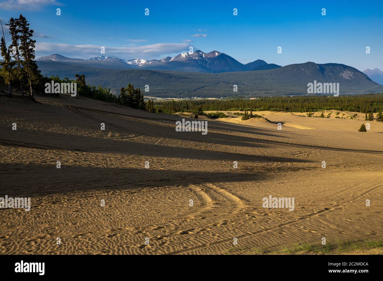 Il deserto più piccolo del mondo a Carcross in Canada Foto Stock