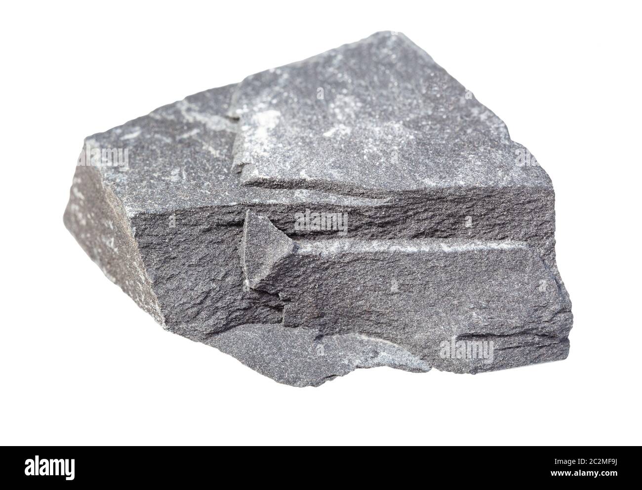 Primo piano del campione di minerale naturale proveniente dalla raccolta geologica - roccia argillite grigio ruvida isolata su sfondo bianco Foto Stock