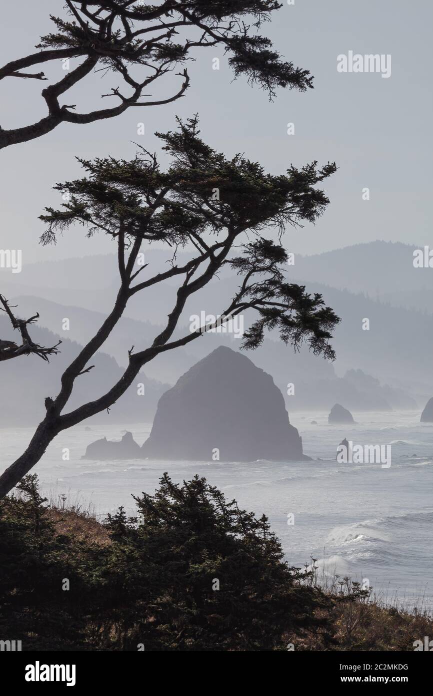 Onde e maree, Ecola state Park, Cannon Beach, Oregon Foto Stock