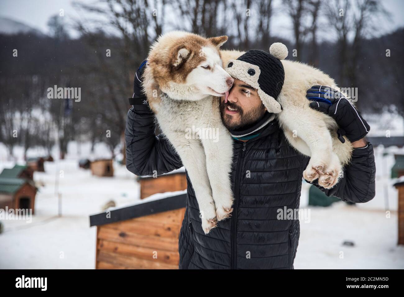 Uomo marrone che porta un Husky nella schiena Foto Stock