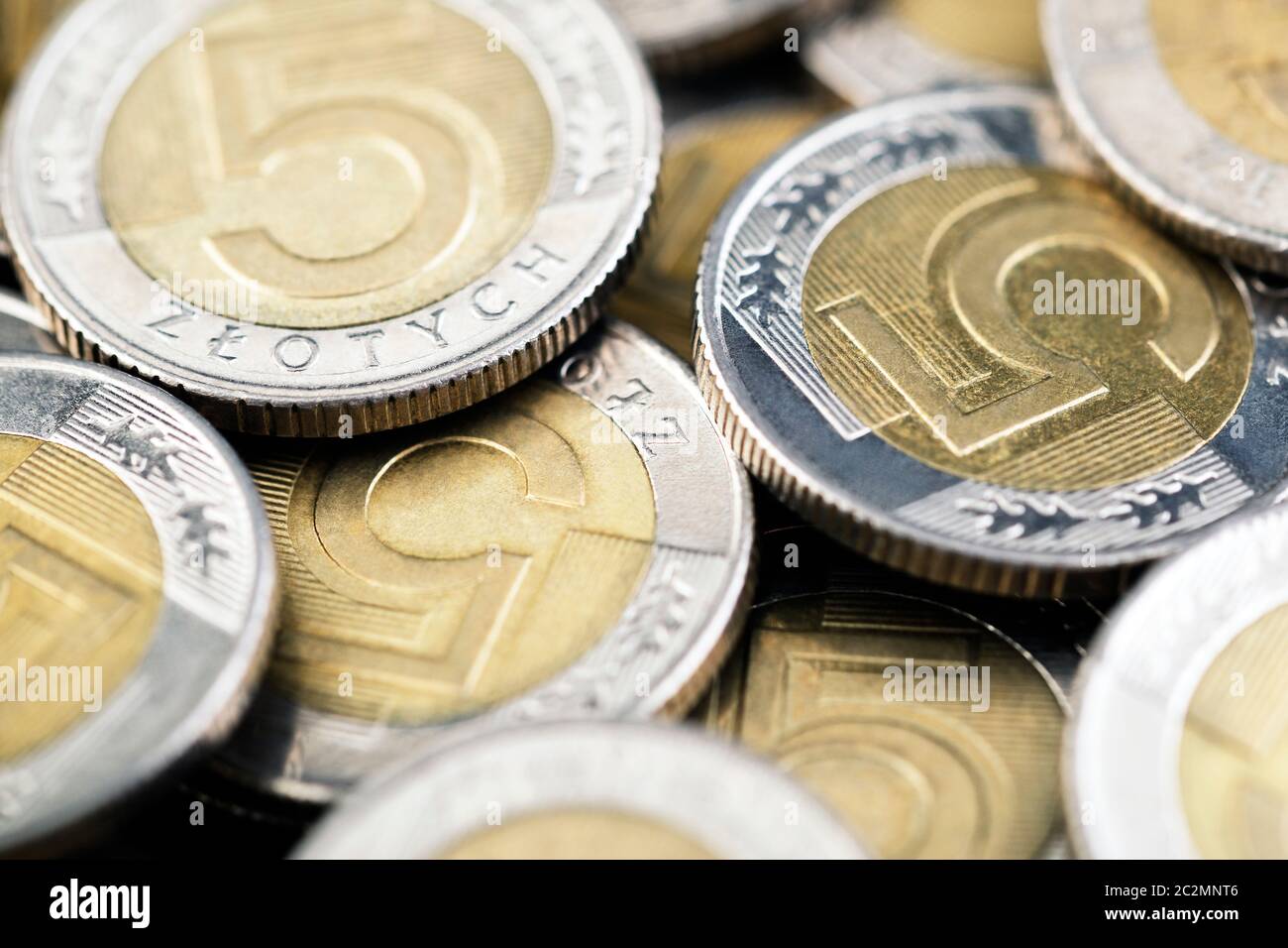 Monete polacco di ripresa macro Foto Stock