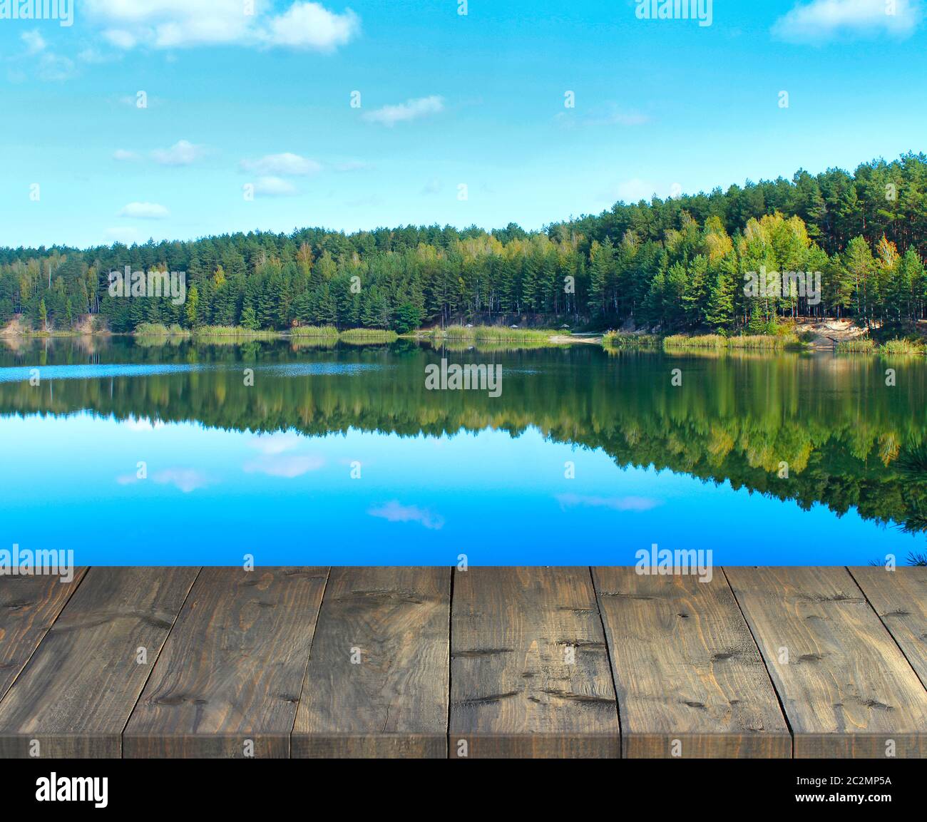 Tavole di legno d'epoca con lago forestale. Concetto di ecologia. Bella natura in foresta Foto Stock