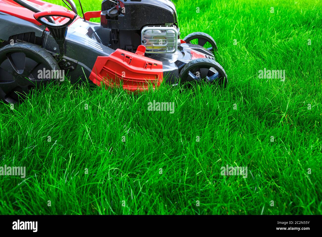 Tosaerba che taglia erba verde alta in cortile Foto Stock