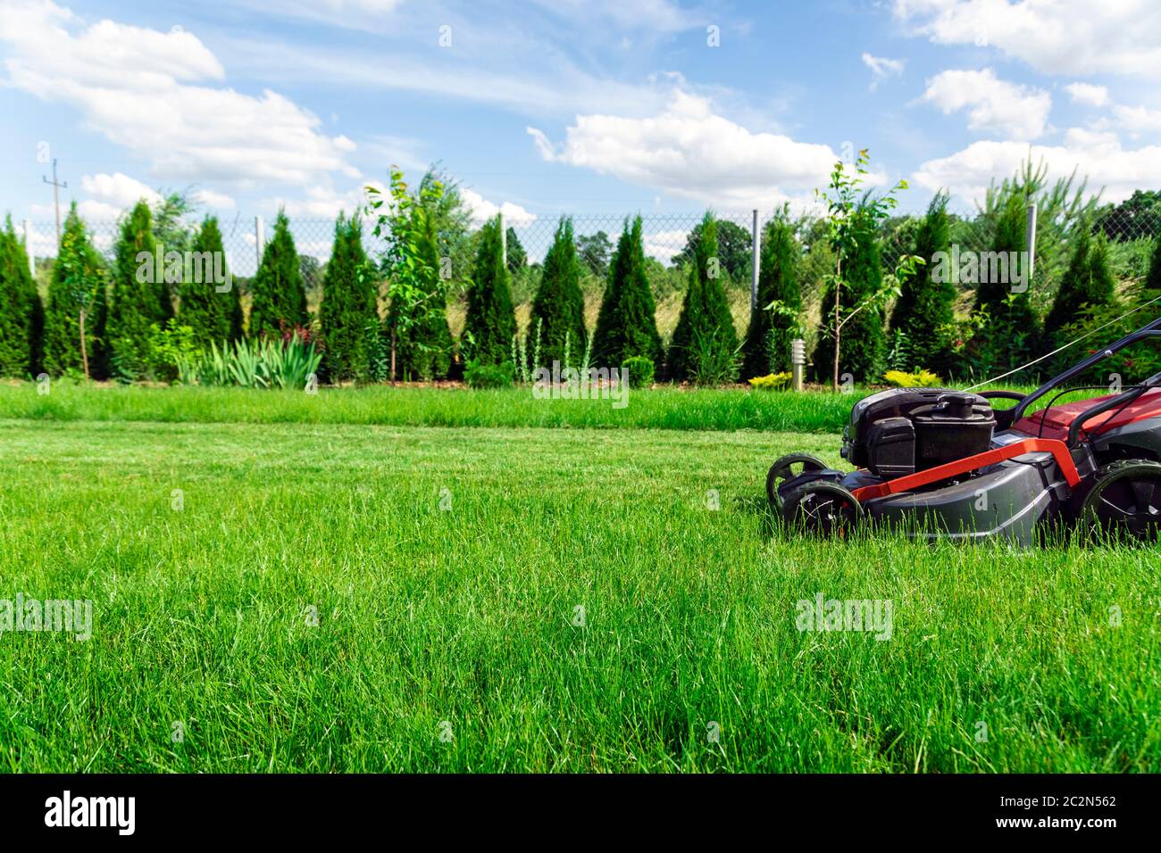 Tosaerba che taglia erba verde alta in cortile Foto Stock