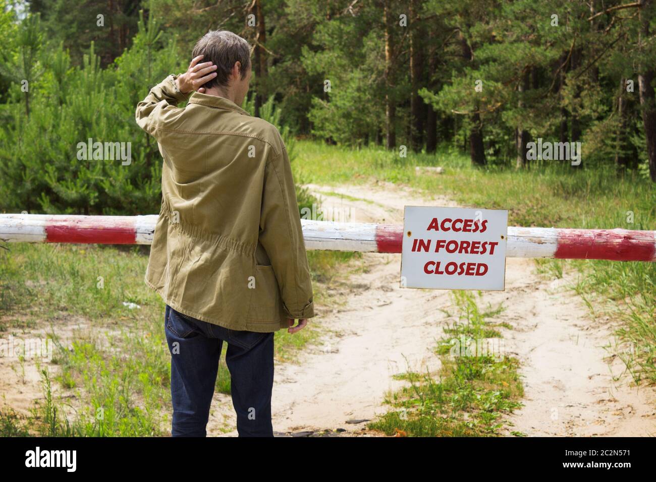 Uomo che legge che vieta partecipare alla foresta Foto Stock