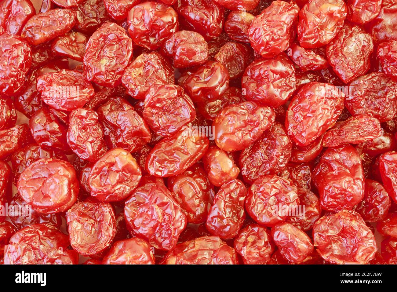 Un sacco di bacche secche di dogwood Foto Stock