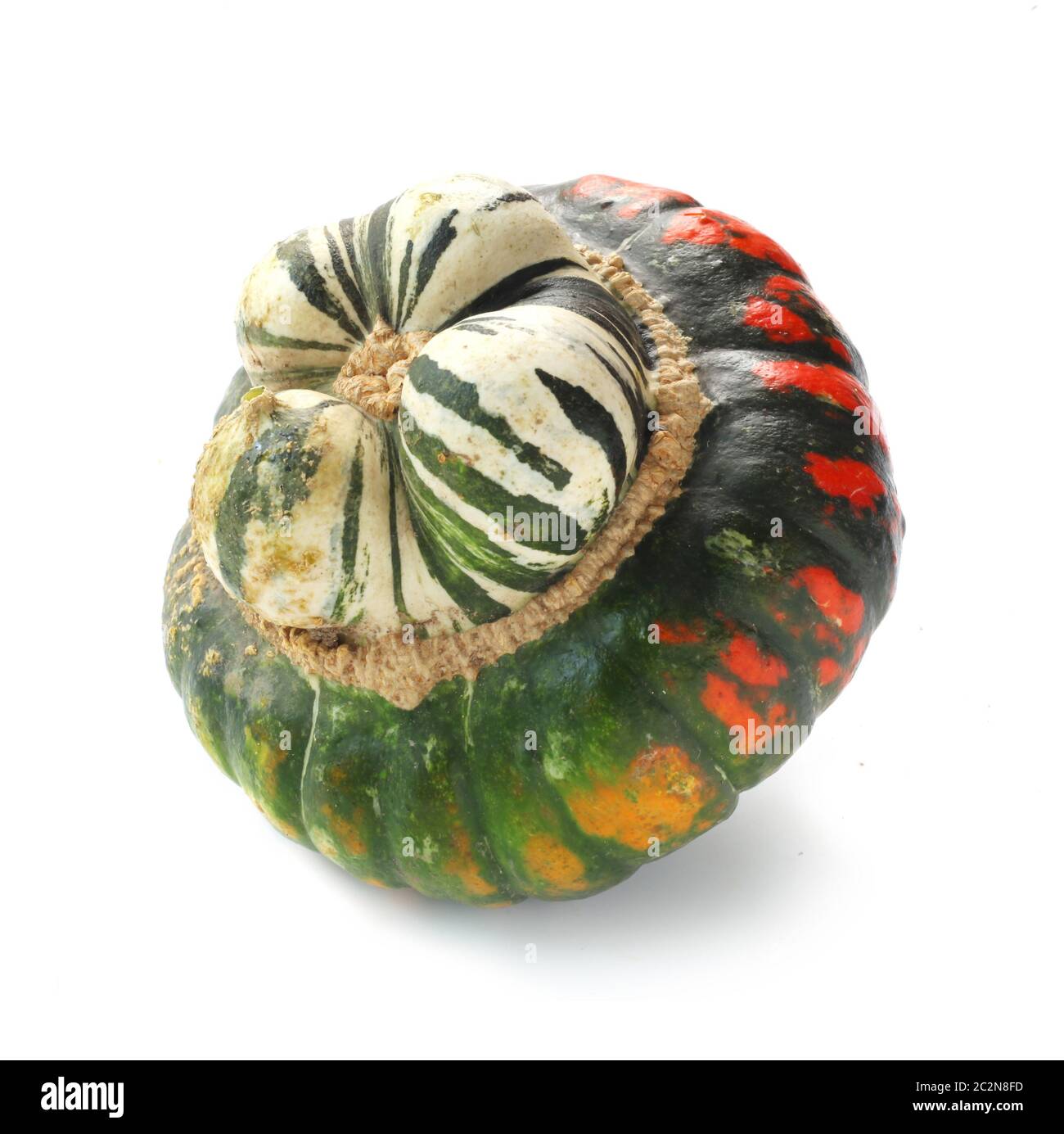 Turbante Squash isolato su bianco Foto Stock