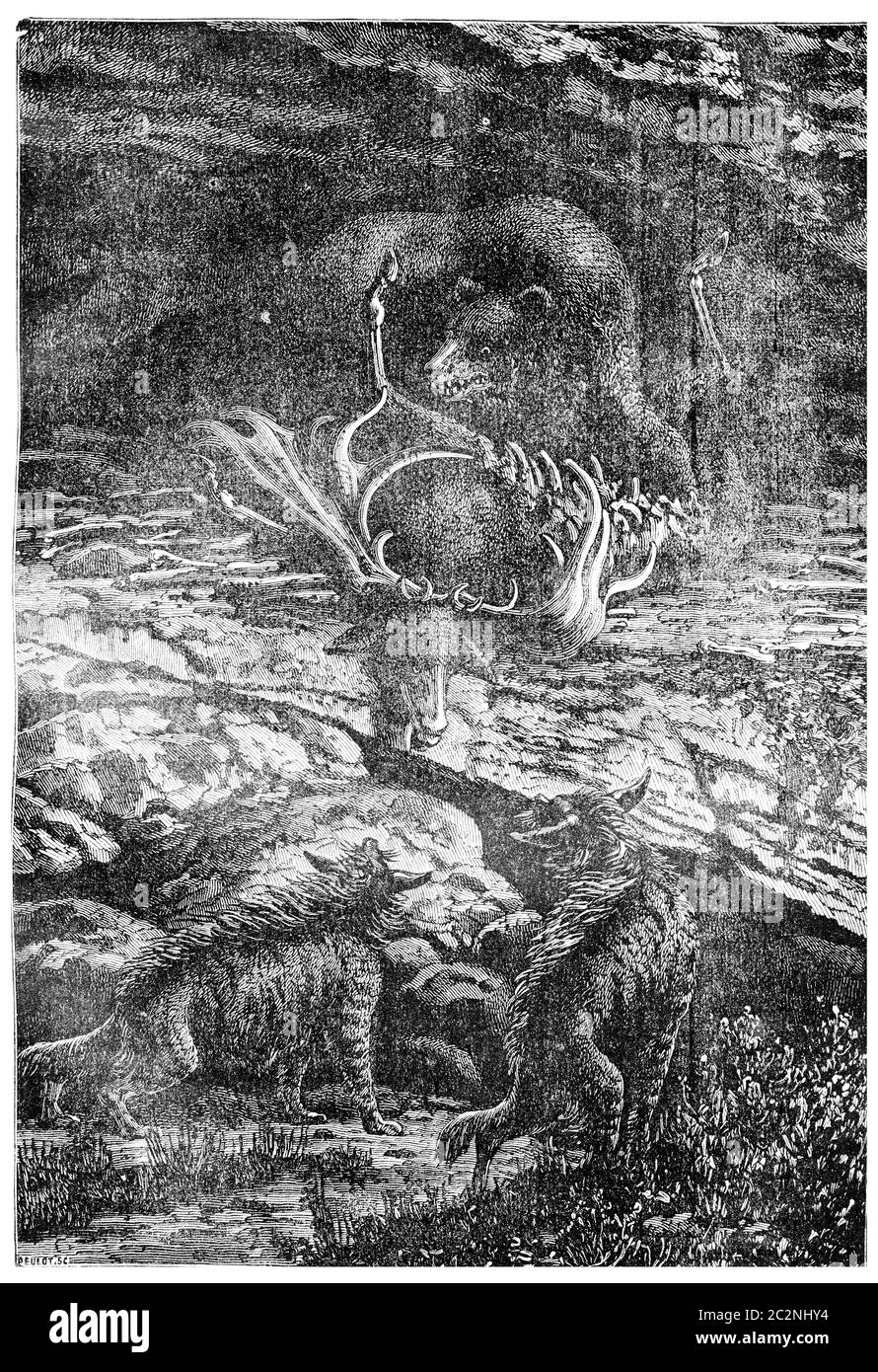 Contemporanei dell'uomo primitivo: L'orso della grotta, illustrazione d'epoca incisa. Terra prima dell'uomo – 1886. Foto Stock