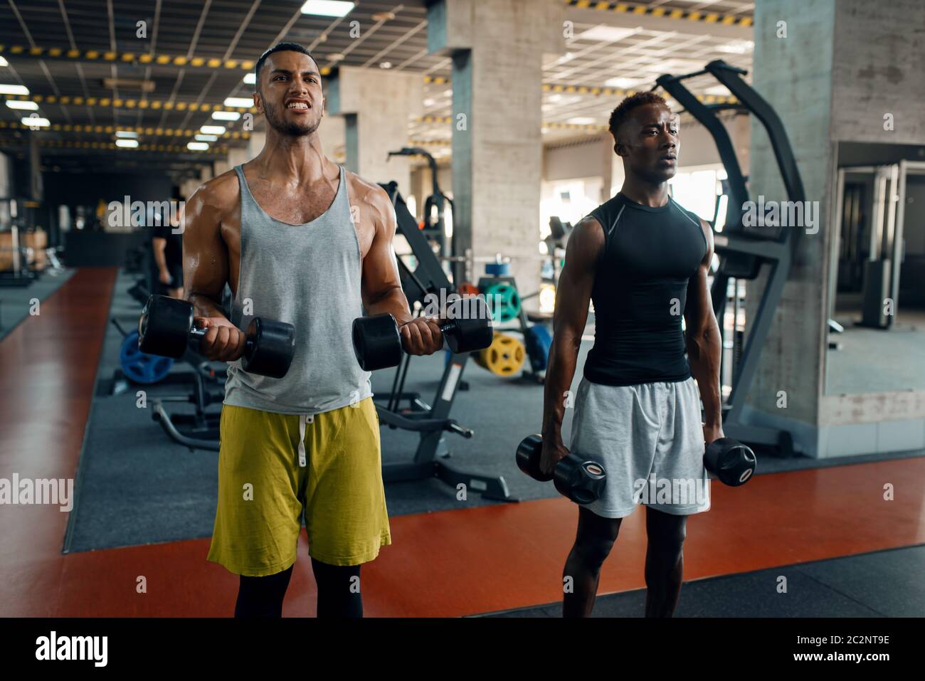 Due uomini muscolari che fanno esercizio con manubri su allenamento in palestra. Allenamento in club sportivo, stile di vita sano Foto Stock