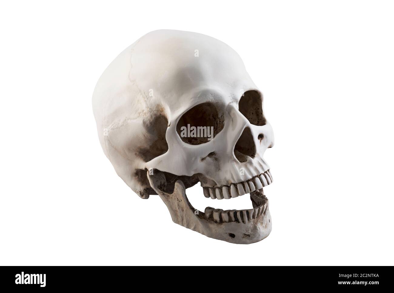 Cranio umano con ganascia aperta isolata su sfondo bianco con tracciato di ritaglio Foto Stock