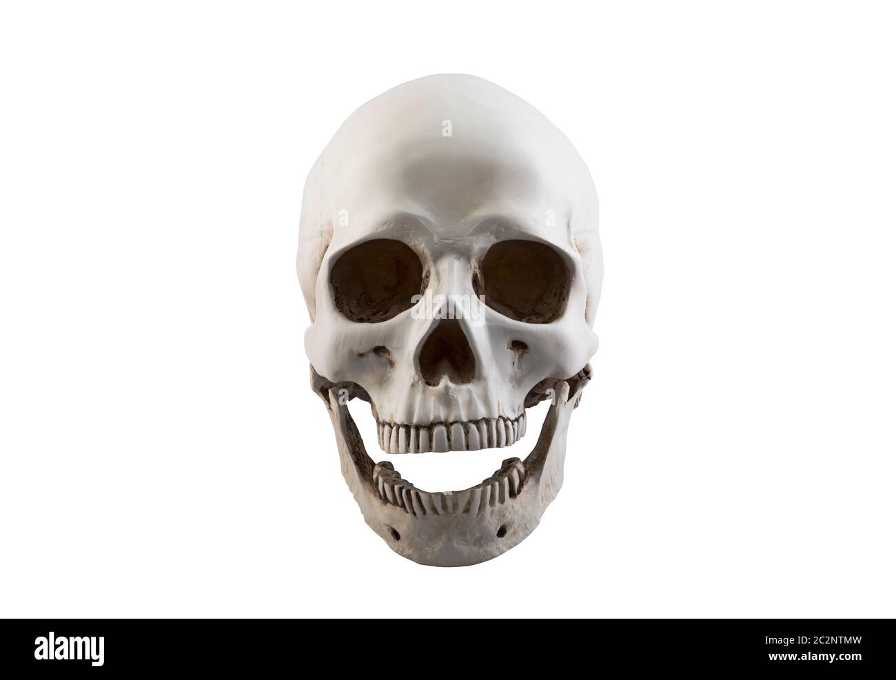 Cranio umano con ganascia aperta isolata su sfondo bianco con tracciato di ritaglio Foto Stock