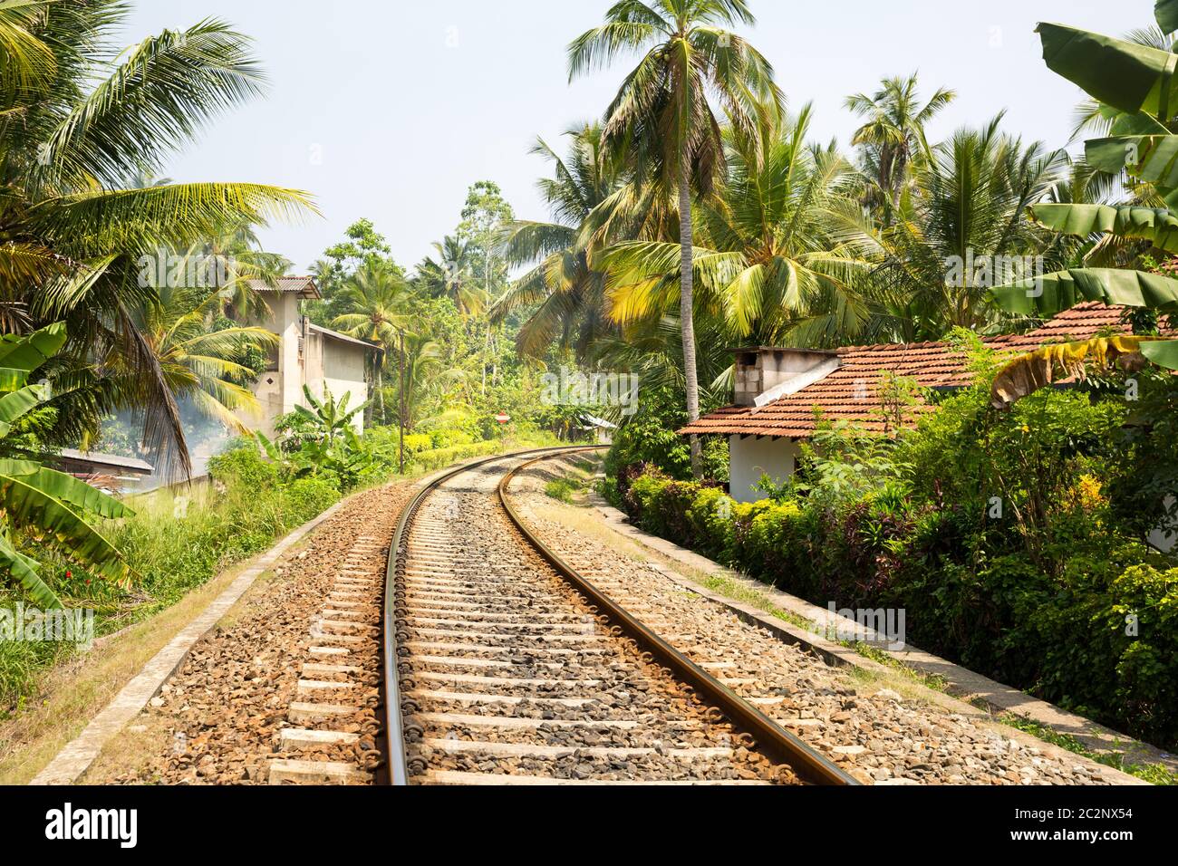 Foresta di palme di fronte strada ferrata in Sri Lanka, vecchio villaggio sullo sfondo. Ceylon paesaggio tropicale Foto Stock