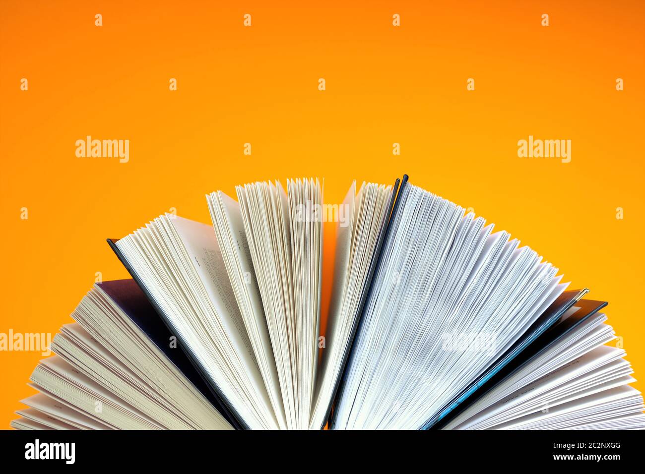 Libri impostati su un background.Reading arancione e concetto di istruzione. Formazione e conoscenza. Vista dall'alto, spazio di copia.pagina Libri primo piano sfondo Foto Stock