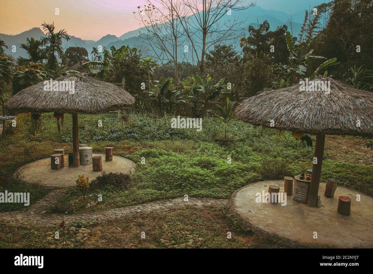 Vista tranquilla di un giardino di frutta e verdura sul cortile di ha giang Vietnam che mostra la vita quotidiana e la cultura in campagna Foto Stock