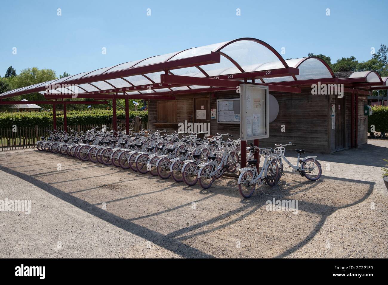 Puyenbroeck, Belgio, 30 maggio 2020, molte biciclette bianche a noleggio in un deposito coperto per biciclette Foto Stock