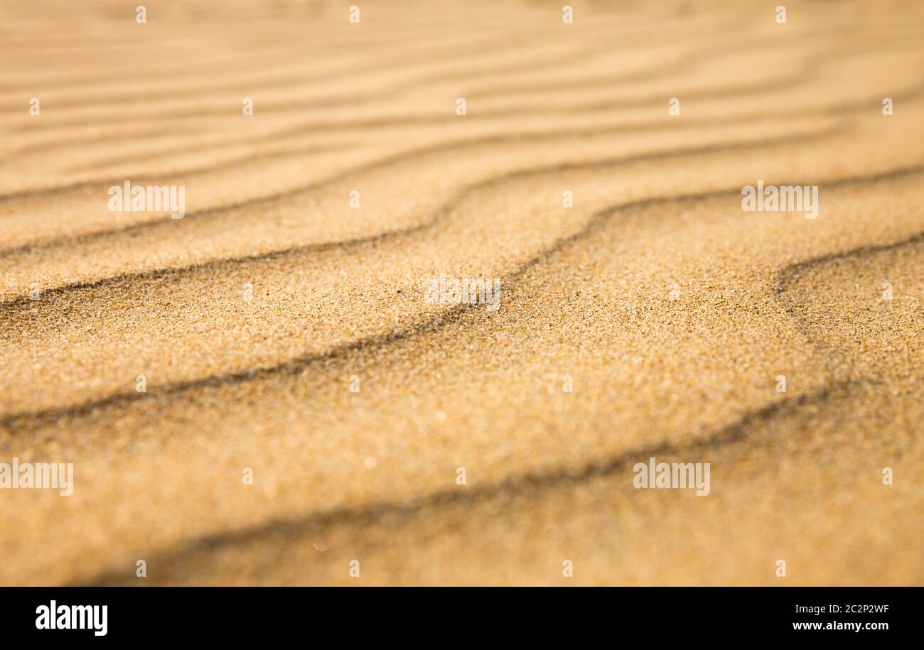 Onde di sabbia, spiaggia sulla costa di Ceylon. Sri Lanka sands, Oceano indiano Foto Stock