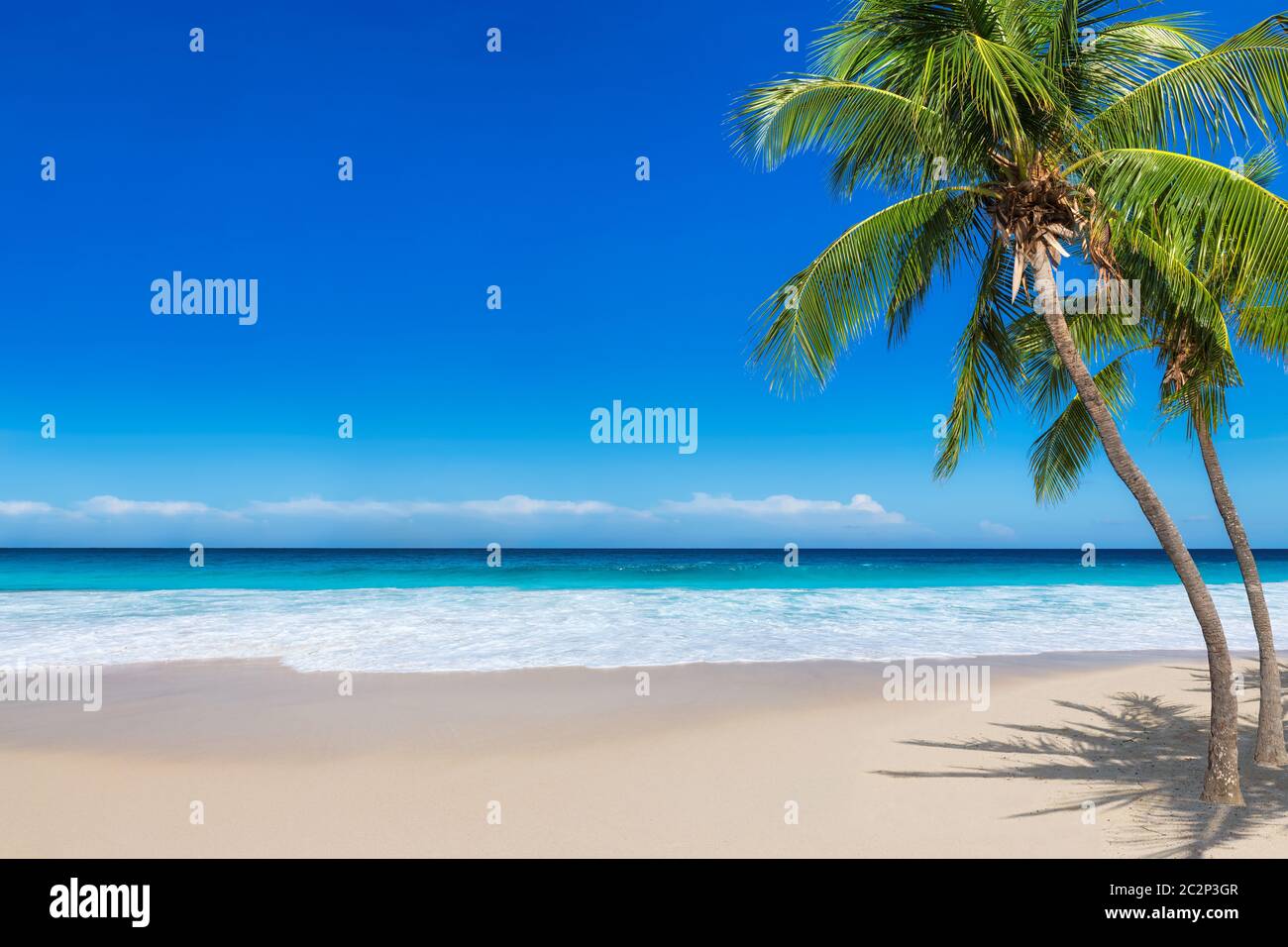 Palme Coco sulla spiaggia soleggiata e mare turchese nell'isola dei Caraibi. Foto Stock