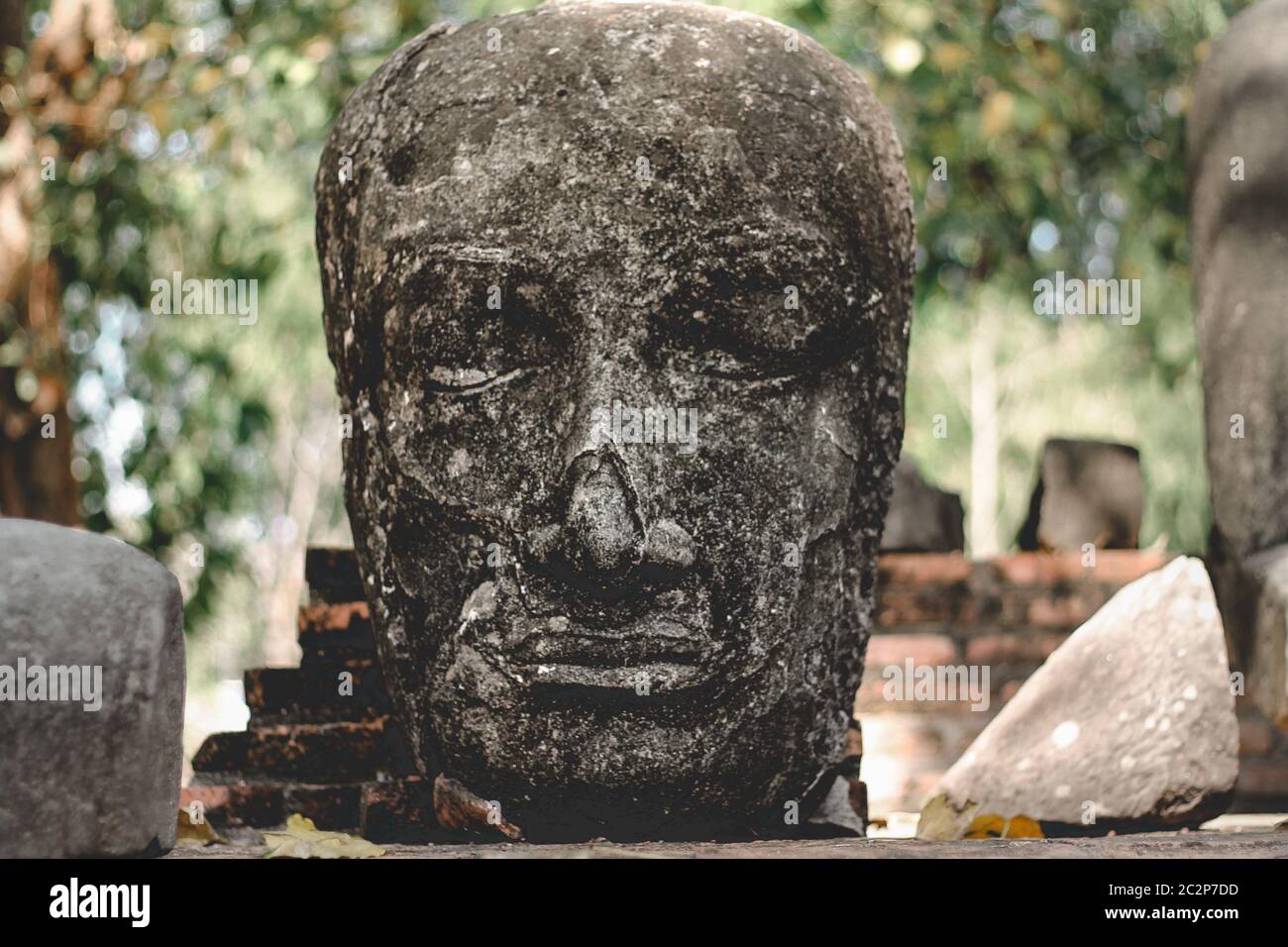 L'antica testa di buddha in pietra nel parco storico di Ayutthaya, un sito patrimonio dell'umanità dell'unesco e un'attrazione turistica in Thailandia Foto Stock